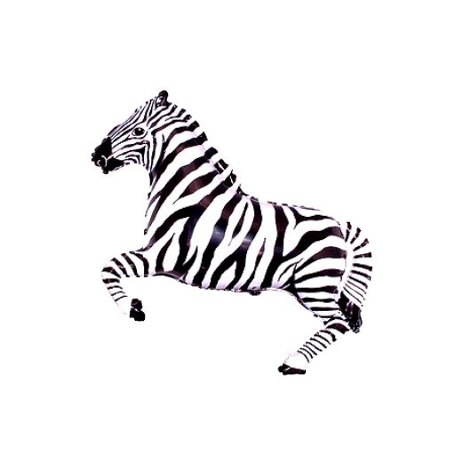 zebra crna